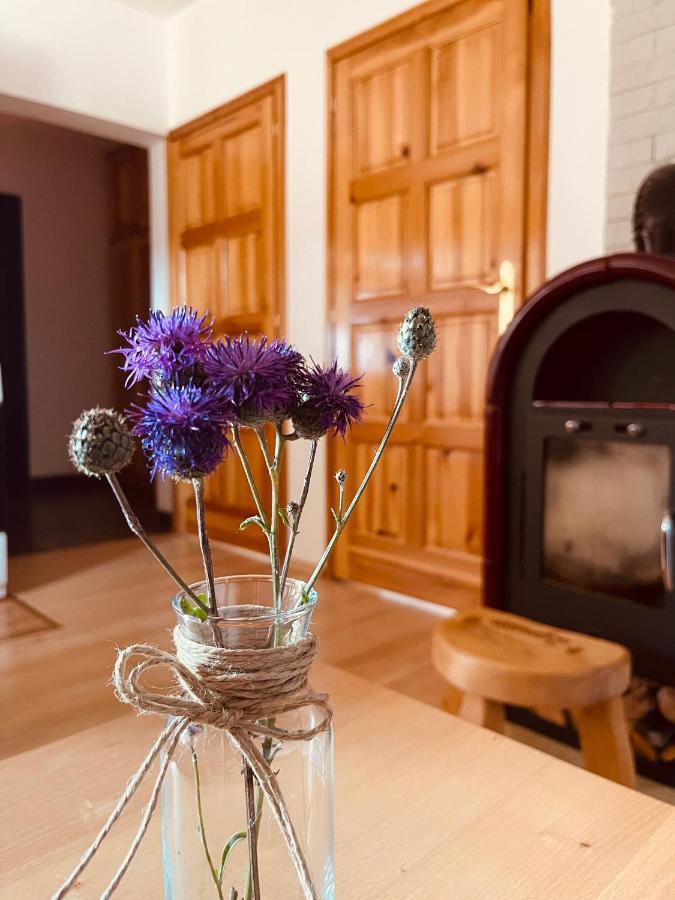 Hill Durmitor Apartment Zabljak  Luaran gambar